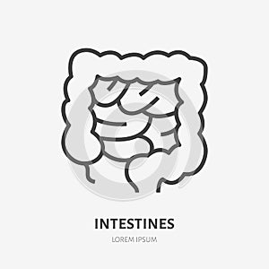 Gut flat line icon. Vector thin pictogram of human internal organ, intestines outline illustration for medical clinic