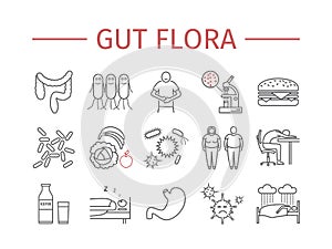 Gut flora. Line icons set. photo