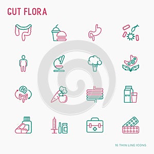 Gut flora thin line icons set