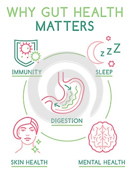 Gut health poster