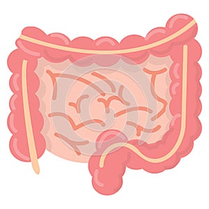 Gut human digestive system icon, vector illustration