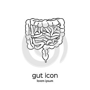 Gut human digestive system