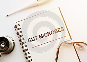 GUT MICROBES phrase on a notepad with a stethoscope and electronic thermometre on white doctor table