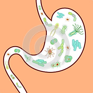 Gut microbiome