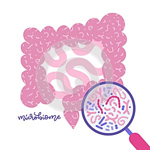 Gut microbiota viewed under a magnifying glass. Human gut and microbiome concept. Glat vector illustration for topics photo