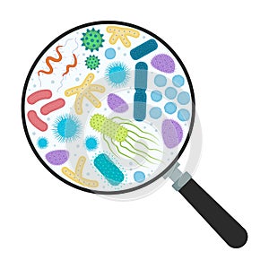 Gut microflora, bacterias under zoom tool