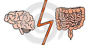 Gut versus brain concept