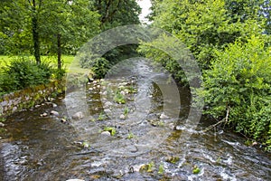 Gutach river in Black Forest in Germany
