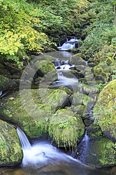 Gutach River near Triberg in the Black Forest