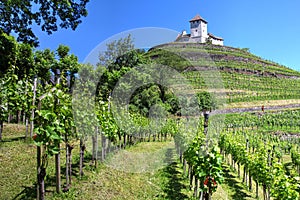 Gutenberg Castle, Balzers, Liechtenstein