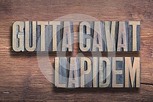 Gutta cavat lapidem wood photo