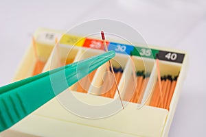 Gutta-percha pins in a set of different sizes for root canal fillings photo