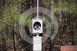 Gutted Electrical Panel Box