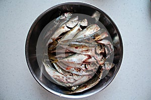 Gutted Mackerel