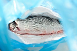 Gutted seabas fish in shop market bag