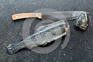 The gutted trout on kitchen table