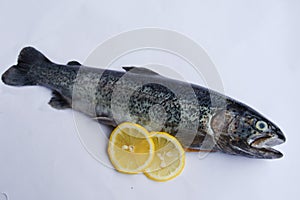 Gutted trout with lemon