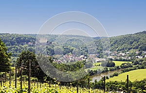 The Guttenberg Castle in the Neckar Valley, Baden-Württemberg in Germany, Europe