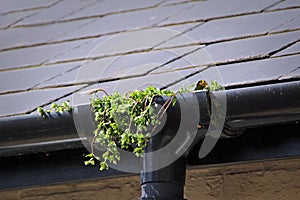 Gutter blockage