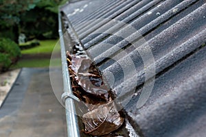 Gutter blocked by leaves