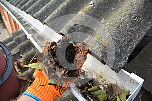 Gutter cleaning with hand from fallen leaves photo