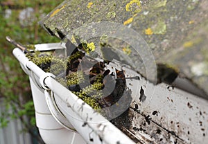 Gutter Cleaning. Rain Gutter Cleaning from Leaves. Roof Gutter Cleaning Tips Close up