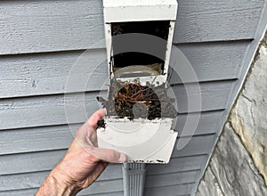 Gutter drain filter for home drainage system