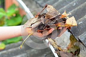 Gutter maintenance: a man is removing leaves from a blocked rain gutter as a way to keep the gutters clean and prevent damage to