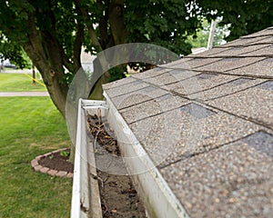Gutter on roof of house with dirt, debris, twigs and tree branches
