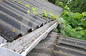 Guttering. Wet asbestos house roof and plastic rain gutter pipeline