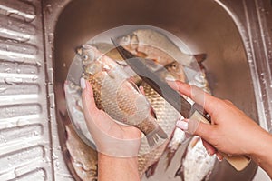 Gutting and cleaning of fish over the sink