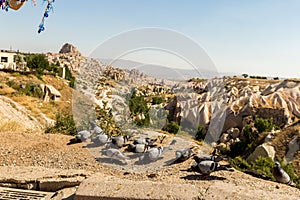 Guvercinlik Valley and Fairy tale chimneys in Turkey photo