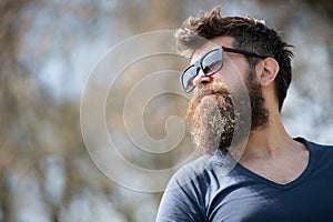 Guy with beard wears sunglasses. Hipster with beard and mustache on strict face, nature background, defocused. Man with