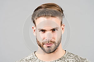 Guy with bearded face, stylish hair, haircut, barber salon