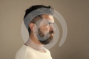 Guy or bearded man on grey background.