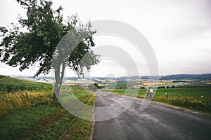 The guy on the Bicycle travels in Slovakia. Blue helmet, green backpack, glasses,