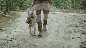 Guy with dog enjoying a walk in beautiful forest.Young man and mixbreed dog going along country road in rural forest