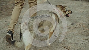 Guy with dog enjoying a walk in beautiful forest.Young man and mixbreed dog going along country road in rural forest