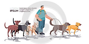 guy dog handler walks with pets best friends domestic animals walking service volunteering pet care concept