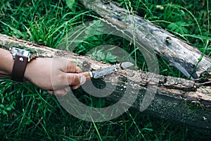 Guy with elegant men`s watch is cutting the tree with old rusty knife. Survival in the wild nature. Green grass in the summer