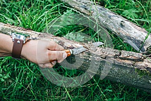 Guy with elegant men`s watch is cutting the tree with old rusty knife. Survival in the wild nature. Green grass in the summer