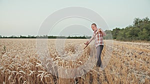 guy farmer mows the wheat in the field