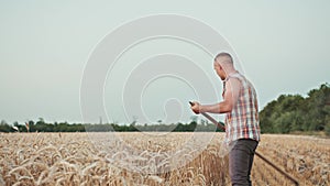 guy farmer mows the wheat in the field