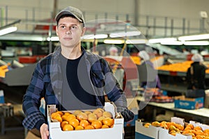 Guy fruit sorting factory worker stacking boxes with tangerines