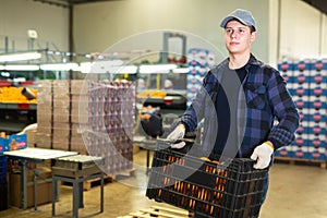 Guy fruit sorting factory worker stacking boxes with tangerines