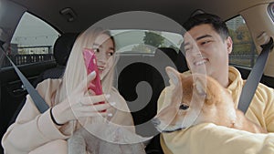 A guy and a girl are driving in a car with a cat and a dog. A girl shows something on her phone to her boyfriend. People