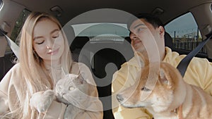 A guy and a girl are driving in a car with a cat and a dog. A guy and a girl are kissing in the car. People and animals