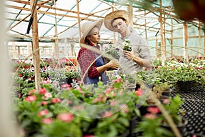 Guy and girl gardeners in a straw hats choose pots with flower seedlings in greenhouse on a sunny day.