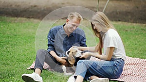 A guy with a girl on a picnic spends time with the dangers of a pet. In the park with the dog. Happiness, pets