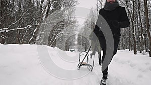 A guy and a girl play in the snow in the forest. Winter fun